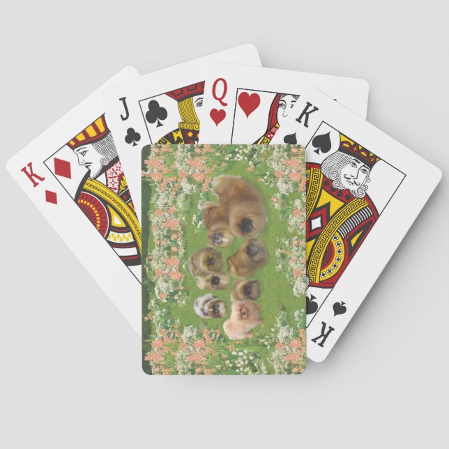 Garden Group Poker Cards (Back)
