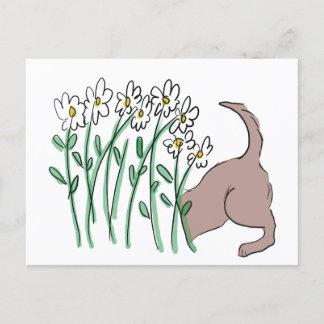Garden helper (dog in the daisies) postcard