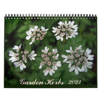 Garden Herb 2023 Kitchen Food Wall Calendar
