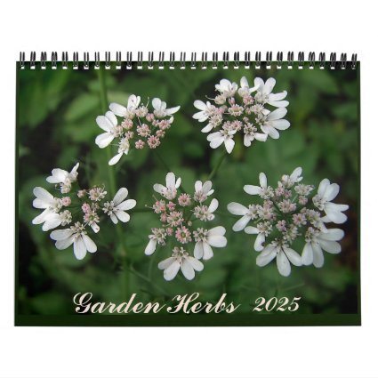 Garden Herb 2025 Kitchen Food Wall Calendar