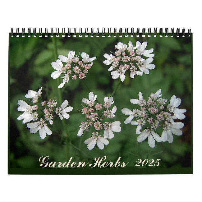 Garden Herb 2025 Kitchen Food Wall Calendar