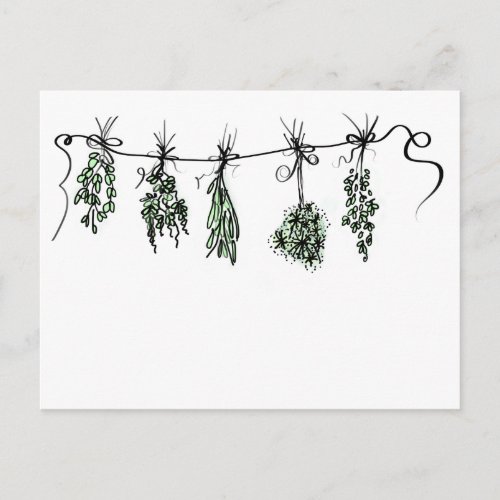 Garden Herbs Postcard