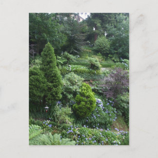 Garden II Postcard