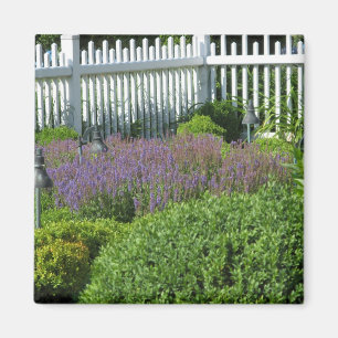 Garden in Long Island Magnet