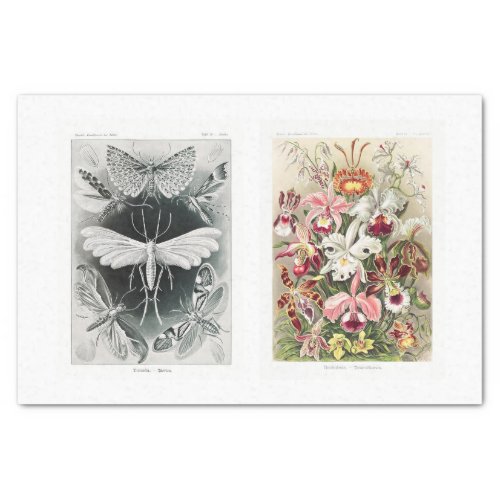 Garden insect and floral decoupage tissue paper