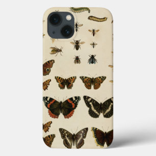 Garden Insects by Vision Studio iPhone 13 Case