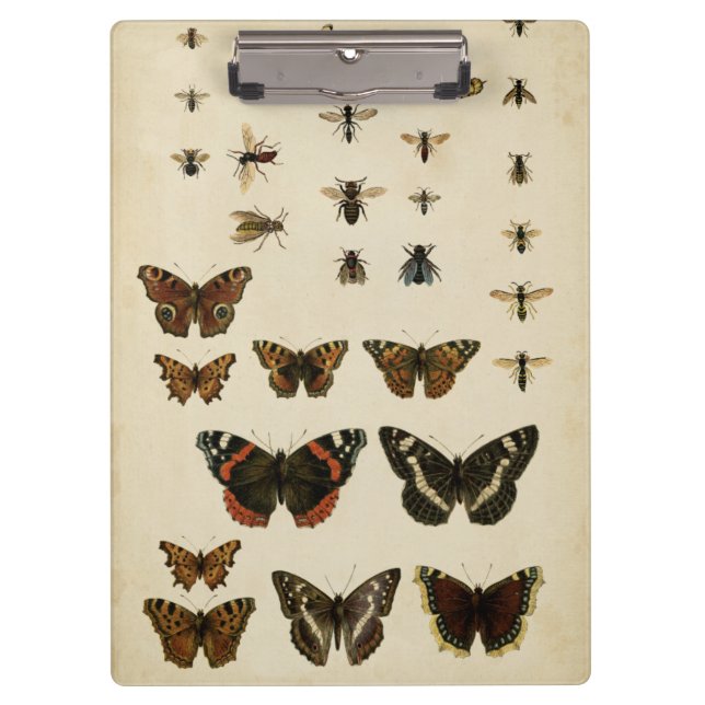 Garden Insects by Vision Studio Clipboard (Front)
