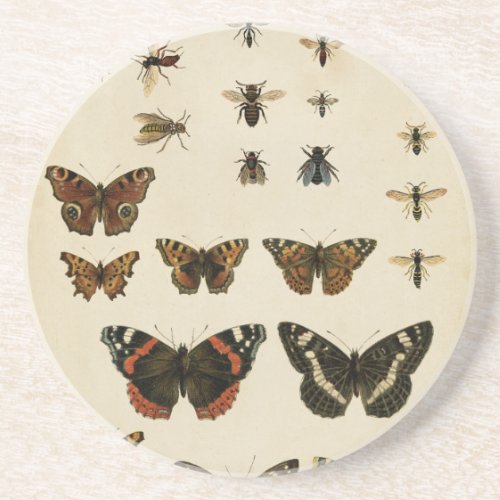 Garden Insects by Vision Studio Coaster