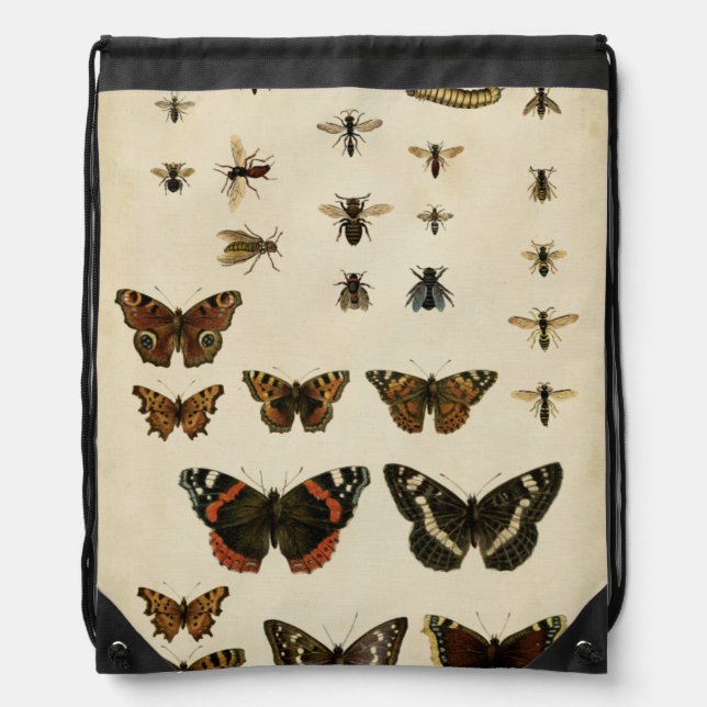Garden Insects by Vision Studio Drawstring Bag (Front)