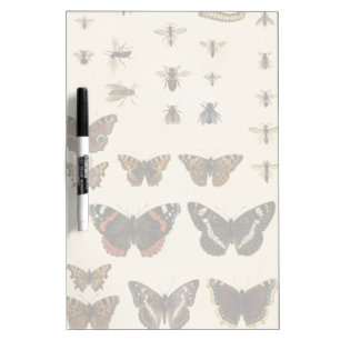 Garden Insects by Vision Studio Dry-Erase Board