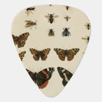 Garden Insects by Vision Studio Guitar Pick