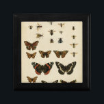 Garden Insects by Vision Studio Keepsake Box<br><div class="desc">This Vision Studio piece is an entomologists dream! Garden insects are drawn on a cream background,  shown in achingly beautiful detail. If you love insects this is the print for you!</div>