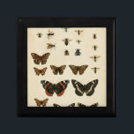 Garden Insects by Vision Studio Keepsake Box<br><div class="desc">This Vision Studio piece is an entomologists dream! Garden insects are drawn on a cream background,  shown in achingly beautiful detail. If you love insects this is the print for you!</div>