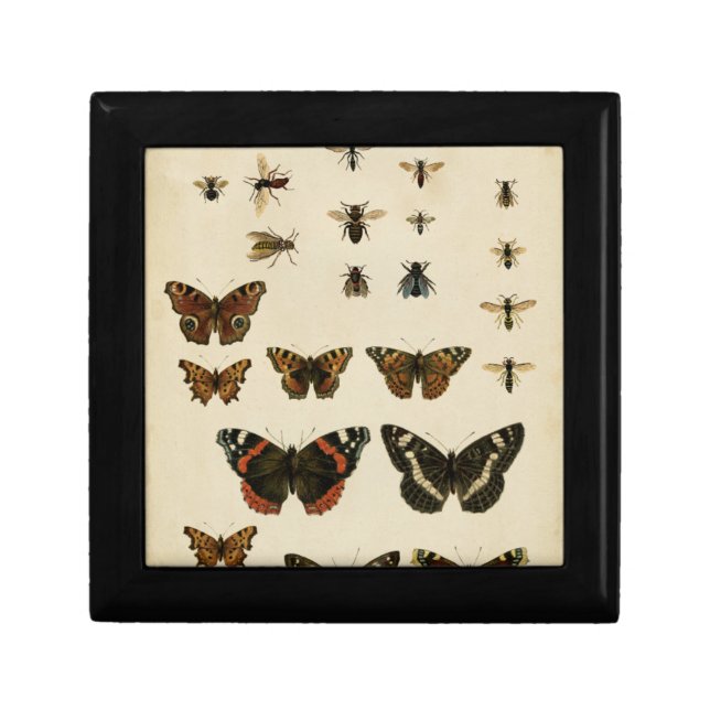 Garden Insects by Vision Studio Keepsake Box (Front)