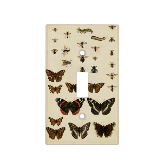 Garden Insects by Vision Studio Light Switch Cover (Front)