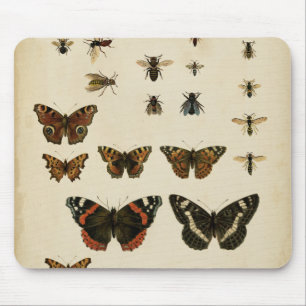 Garden Insects by Vision Studio Mouse Pad