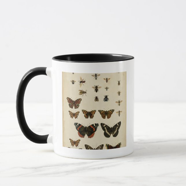 Garden Insects by Vision Studio Mug (Left)