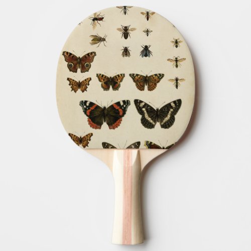 Garden Insects by Vision Studio Ping Pong Paddle