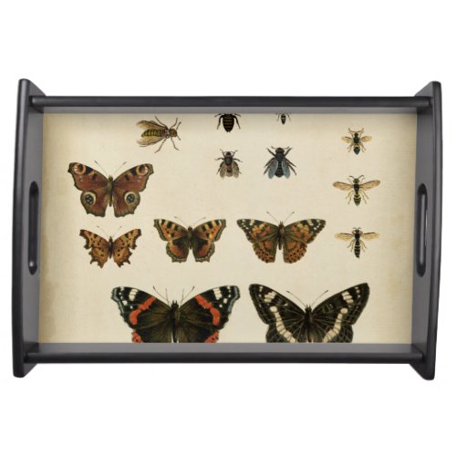 Garden Insects by Vision Studio Serving Tray