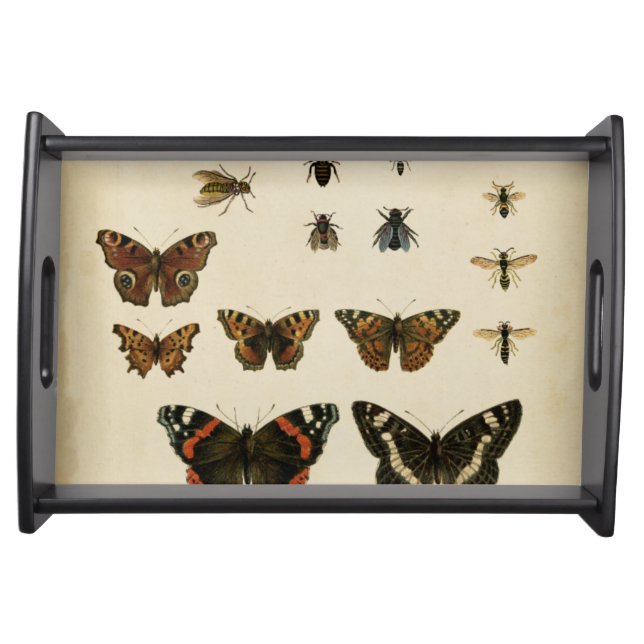 Garden Insects by Vision Studio Serving Tray (Front)