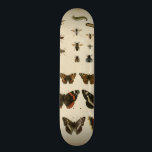 Garden Insects by Vision Studio Skateboard<br><div class="desc">This Vision Studio piece is an entomologists dream! Garden insects are drawn on a cream background,  shown in achingly beautiful detail. If you love insects this is the print for you!</div>