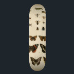 Garden Insects by Vision Studio Skateboard<br><div class="desc">This Vision Studio piece is an entomologists dream! Garden insects are drawn on a cream background, shown in achingly beautiful detail. If you love insects this is the print for you!</div>