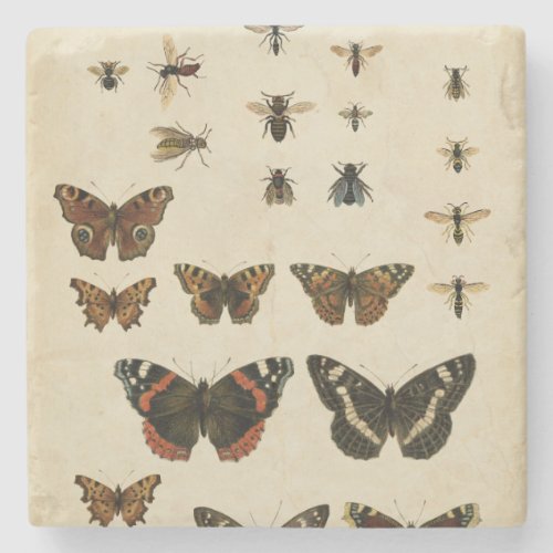 Garden Insects by Vision Studio Stone Coaster
