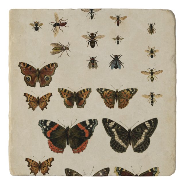 Garden Insects by Vision Studio Trivet (Front)