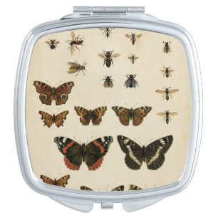 Garden Insects by Vision Studio Vanity Mirror