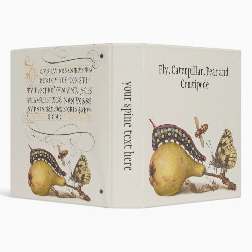 Garden Insects Fly Caterpillar Pear Centipede 3 Ring Binder