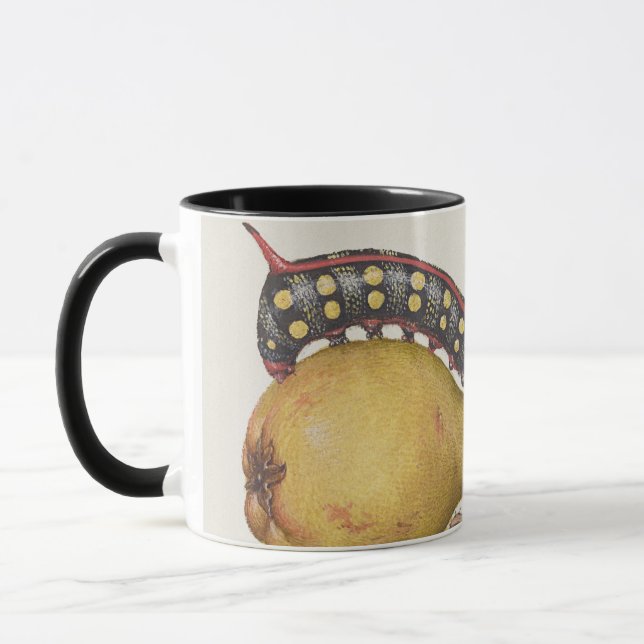 Garden Insects, Fly, Caterpillar, Pear, Centipede Mug (Left)