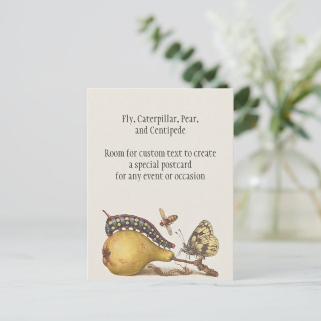 Garden Insects, Fly, Caterpillar, Pear, Centipede Postcard (Standing Front)