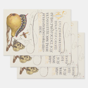 Garden Insects, Fly, Caterpillar, Pear, Centipede Wrapping Paper Sheets