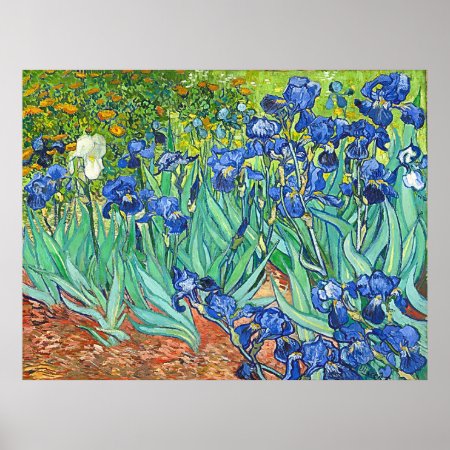 Garden Irises Vintage Van Gogh Floral Painting Poster