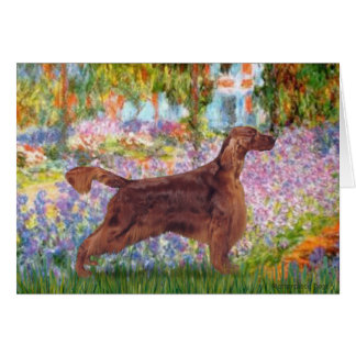Garden - Irish Setter 1 Cards