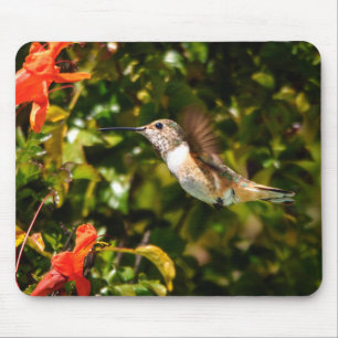 Garden Jewel: Hummingbird in Bloom Mouse Pad