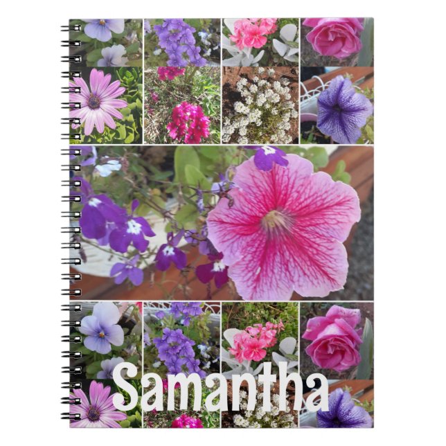 Garden Journal Pink Petunia Pretty Spring Flowers (Front)