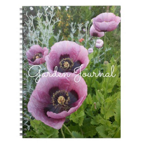 Garden Journal Poppy Floral Pink Purple Notebook