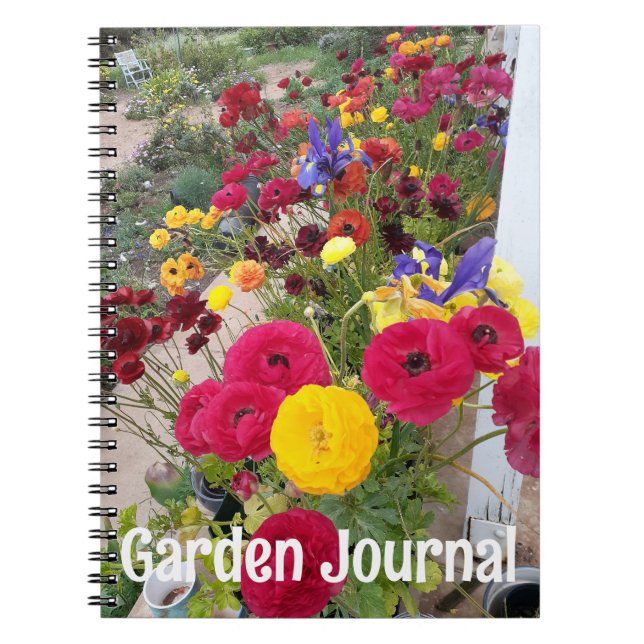 Garden Journal Rannunculus Red Spring Flowers (Front)