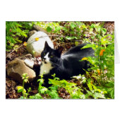 Garden Kitty (Front Horizontal)