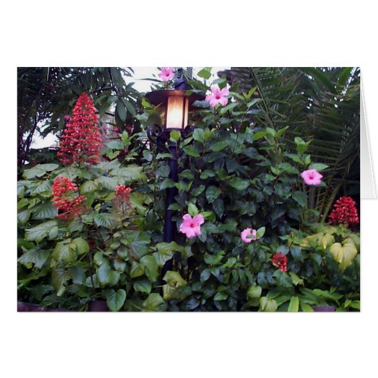 Garden Lamp Cards (Front Horizontal)