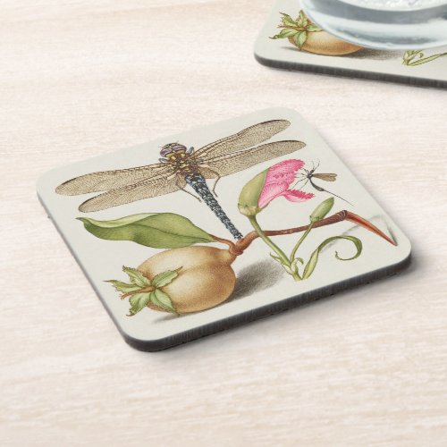 Garden life, Dragonfly, Pear, Carnation and Insect Beverage Coaster