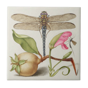 Garden life, Dragonfly, Pear, Carnation and Insect Ceramic Tile