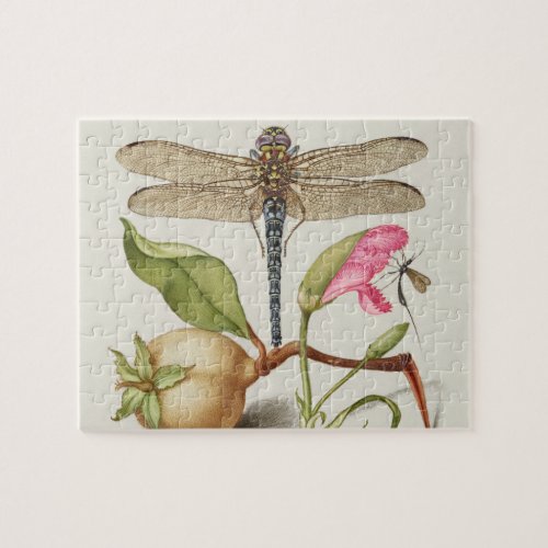 Garden life, Dragonfly, Pear, Carnation and Insect Jigsaw Puzzle
