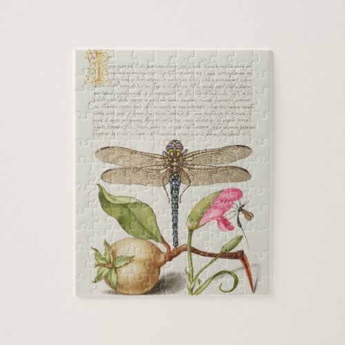 Garden life, Dragonfly, Pear, Carnation and Insect Jigsaw Puzzle