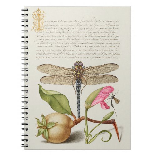 Garden life, Dragonfly, Pear, Carnation and Insect Notebook