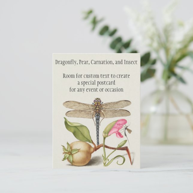 Garden life, Dragonfly, Pear, Carnation and Insect Postcard (Standing Front)