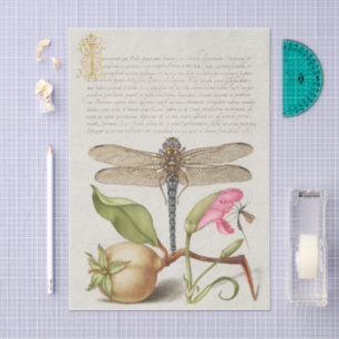 Garden life, Dragonfly, Pear, Carnation and Insect Tissue Paper