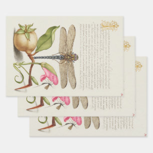 Garden life, Dragonfly, Pear, Carnation and Insect Wrapping Paper Sheets