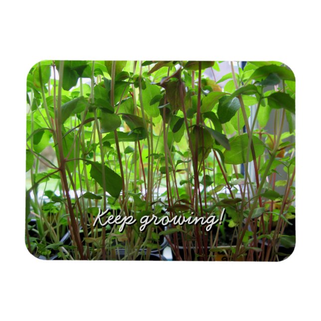 Garden Lover Keep Growing Plants Magnet (Horizontal)